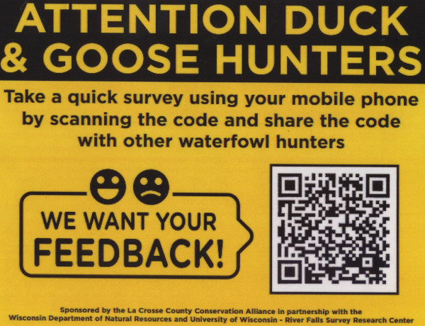 Duck Survey Poster